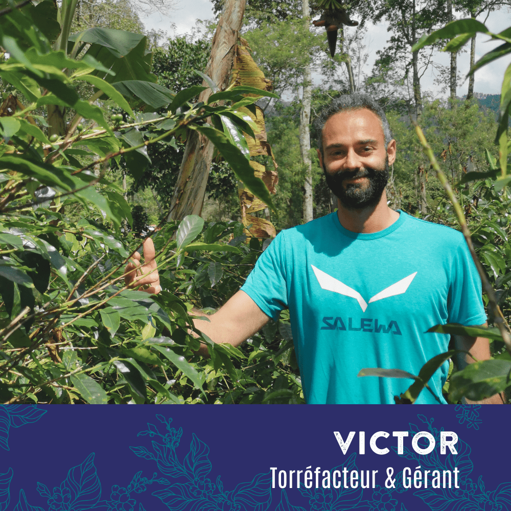 Ana Finca Trillador (1)